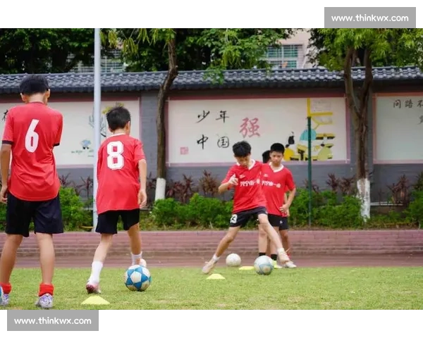 以足球培训机构为核心打造青少年体教融合发展新生态路径探索实践